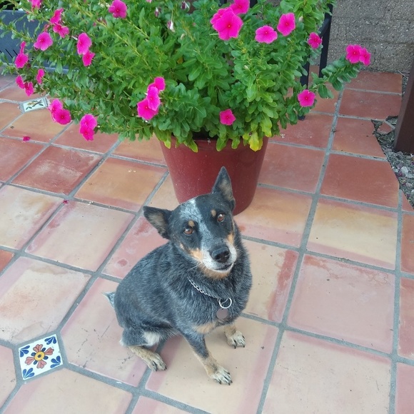 Meet your Posher, Marla - Picture 1 of 1